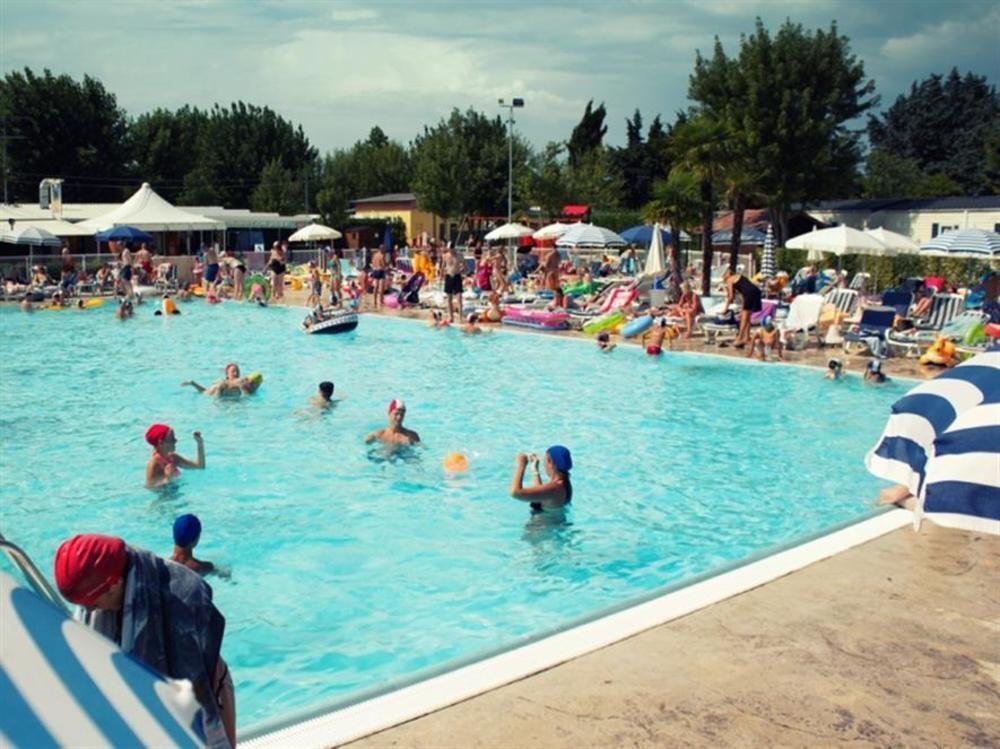 Butterfly Village Camping